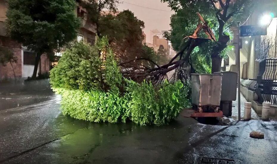 آمار مصدومین طوفان