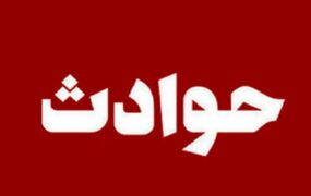 قتل عجیب بخاطر یک بچه گربه