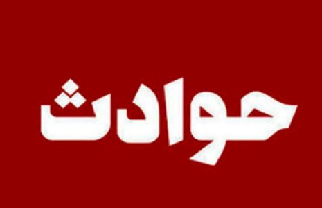 قتل عجیب بخاطر یک بچه گربه قتل عجیب بخاطر یک بچه گربه