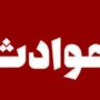 قتل عجیب بخاطر یک بچه گربه