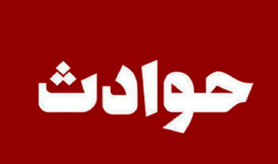 قتل عجیب بخاطر یک بچه گربه