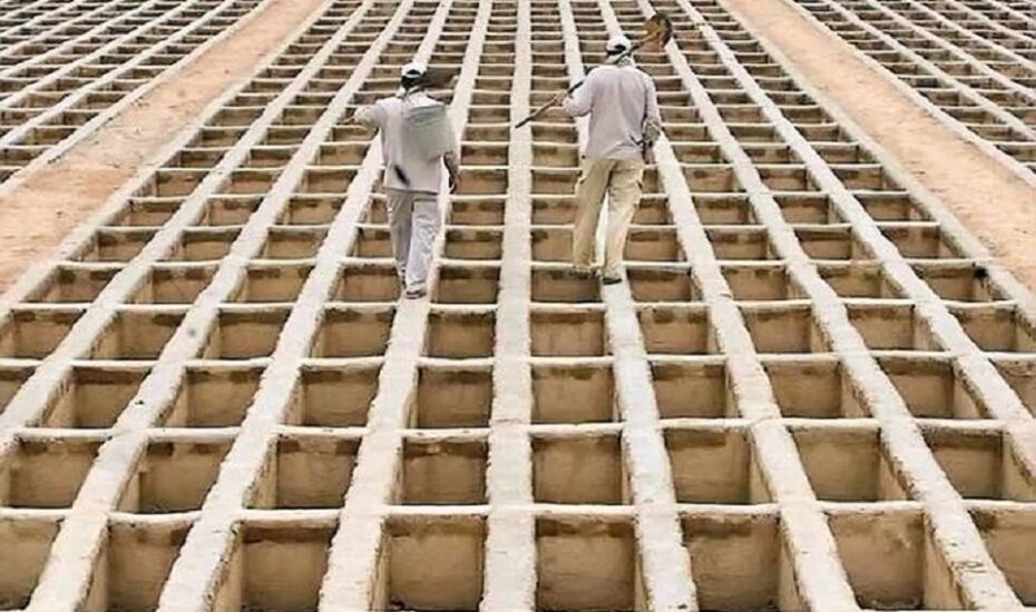 قطعه ۳۲۹ بهشت زهرا دفن روزانه اموات