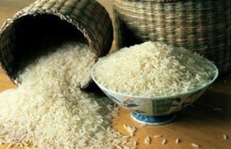 واردات برنج معروف دانه بلند هندی به ایران ممنوع واردات برنج معروف دانه بلند هندی