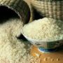 واردات برنج معروف دانه بلند هندی