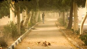 هشدار وزش باد شدید در پایتخت وزش باد شدید