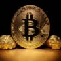 آخرین وضعیت بازار رمزارزها در جهان
