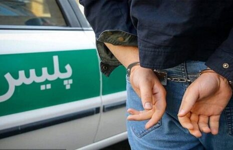 بازداشت 11 ایرانی در آمریکا پس از حمله به ایران بازداشت