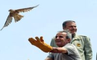 بازگشت پرندگان شکاری‌ به آسمان الوند
