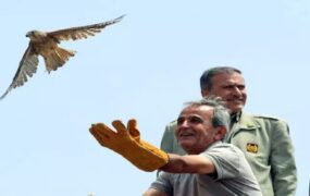 بازگشت پرندگان شکاری‌ به آسمان الوند