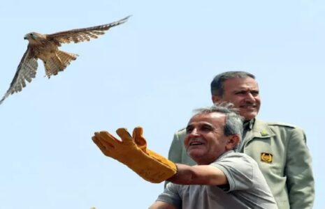 بازگشت پرندگان شکاری‌ به آسمان الوند