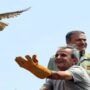 بازگشت پرندگان شکاری‌ به آسمان الوند