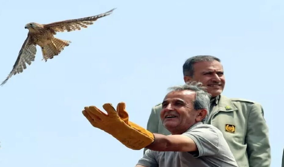 بازگشت پرندگان شکاری‌ به آسمان الوند