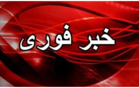 خبر فوری