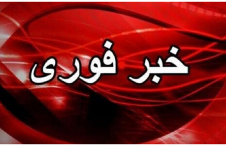 خبر فوری