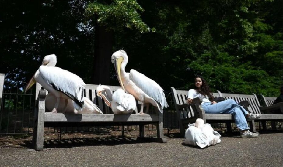 دیدنی های امروز