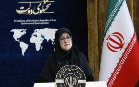 سخنگوی دولت