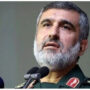 سردار حاجی زاده