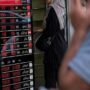 قیمت سکه در بازار