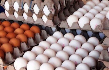 قیمت شانه تخم‌مرغ