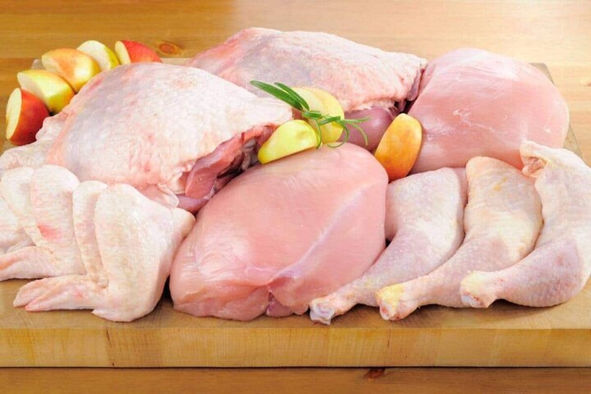 قیمت مرغ