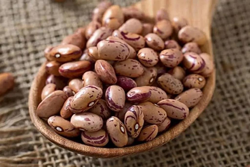 لوبیا چیتی