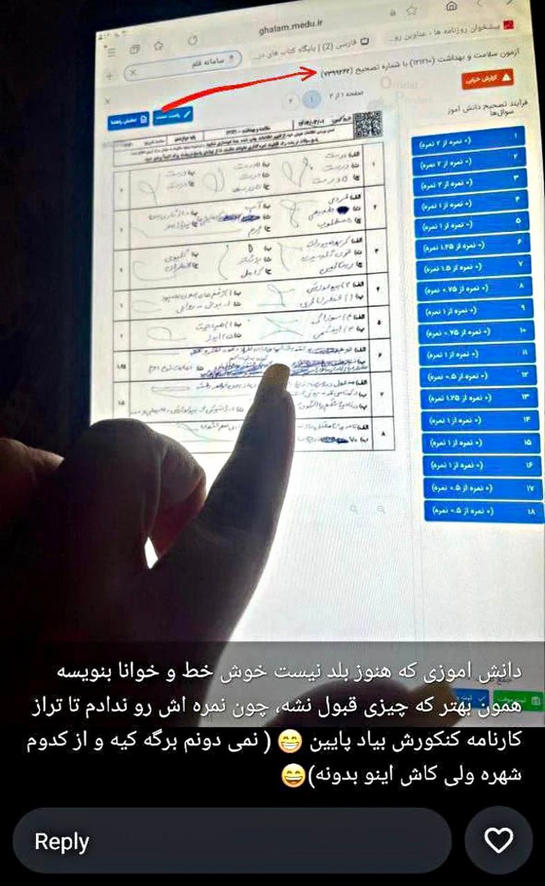 متن
