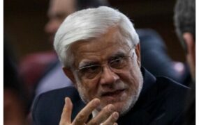 محمد رضا عارف