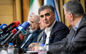 محمد رضا فرزین