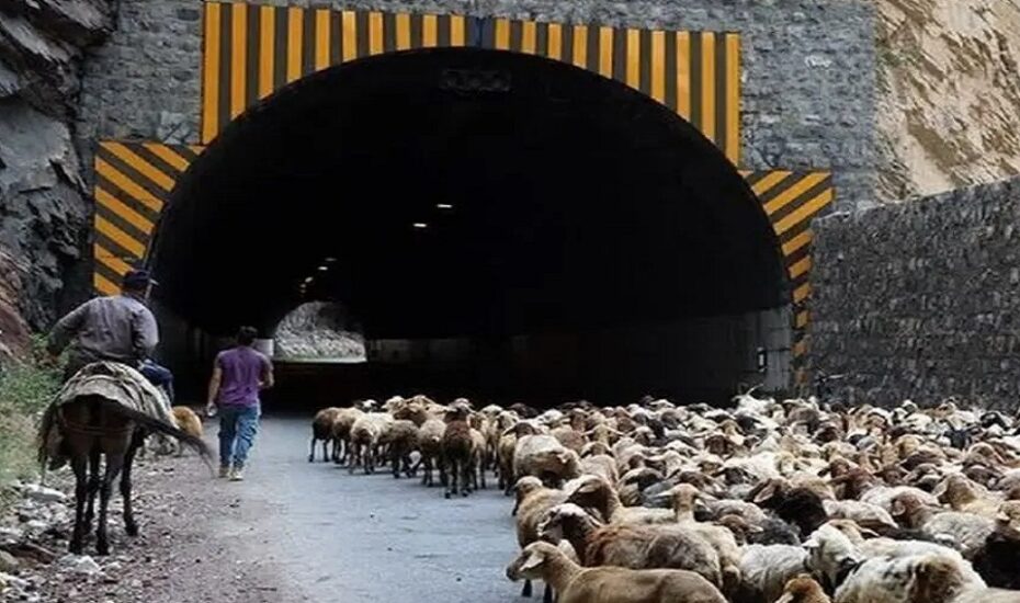 مسدودی جاده کرج–چالوس و آزادراه تهران–شمال کوچ عشایر