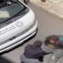 شهرداری تهران