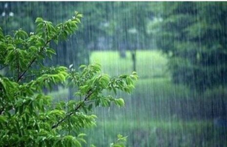 وضعیت هوا رگبار و رعد و برق