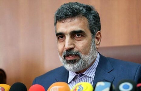 جای اورانیوم غنی شده ایران امن است کمالوندی