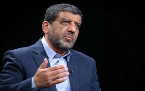 ضرغامی شورای نگهبان مجلس دوازدهم