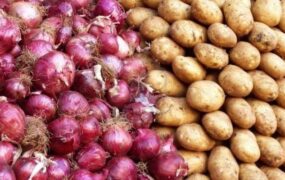 قیمت سیب زمینی و پیاز