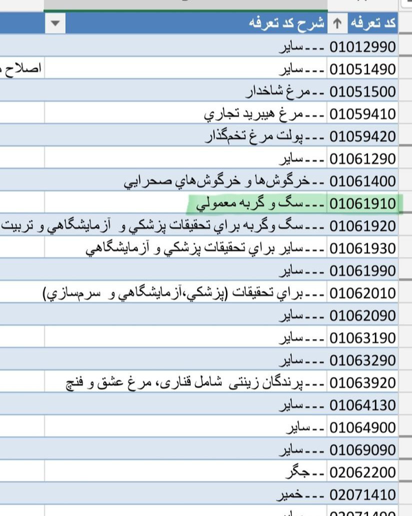 مجوز واردات سگ و گربه 