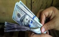 افزایش قیمت ارز در بازار امروز