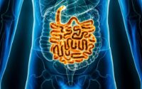 تغذیه‌ی تکراری چگونه گوارش شما را کند می‌کند؟
