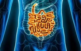 تغذیه‌ی تکراری چگونه گوارش شما را کند می‌کند؟