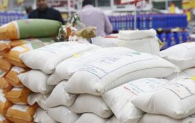 تورم سالیانه و گرانی برنچ