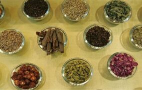 گیاه کاهش التهاب معده و روده