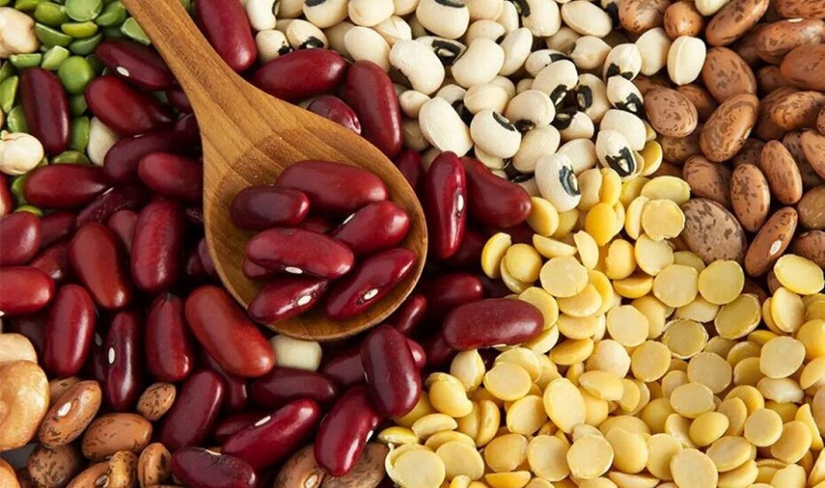 صادرات حبوبات تا اطلاع ثانوی ممنوع صادرات حبوبات تا اطلاع ثانوی ممنوع