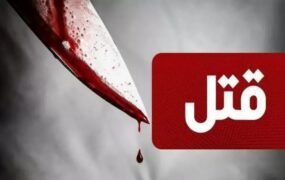 قتل قاتل انتقام ملکی