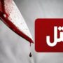 قتل قاتل انتقام ملکی