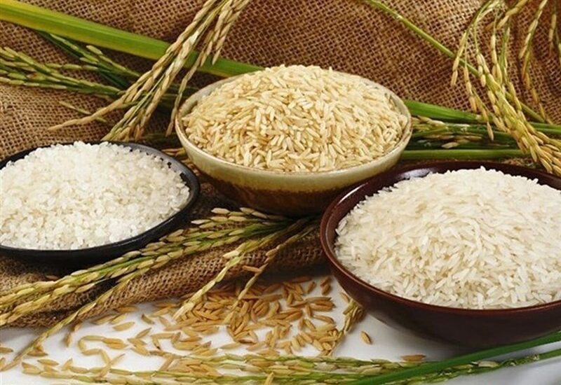 قیمت برنج