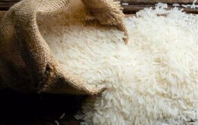 قیمت برنج
