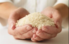 قیمت برنج