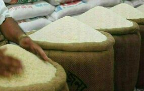قیمت برنج