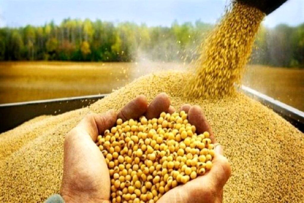 ارز ترجیحی