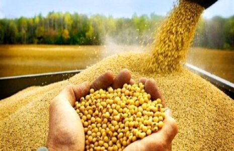 خبر خوش وزیر جهادکشاورزی درباره ارز ترجیحی ارز ترجیحی