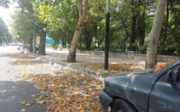 پاییز زودرس در تابستان تهران